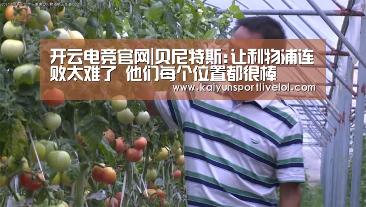 开云电竞官网|贝尼特斯:让利物浦连败太难了 他们每个位置都很棒(图1) 电竞官网