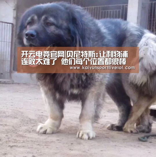 开云电竞官网|贝尼特斯:让利物浦连败太难了 他们每个位置都很棒(图2) 开云电竞官网